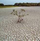 Extinction of nature